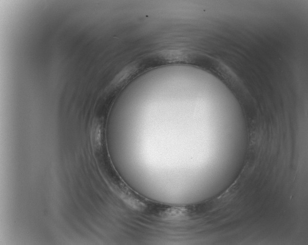 X0000080130124200612221907