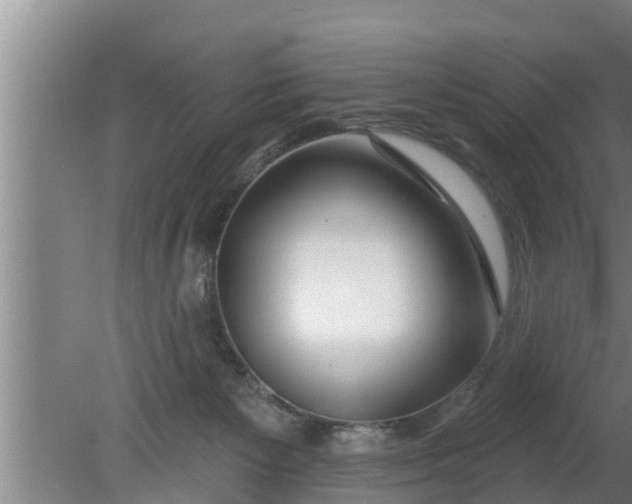 X0000080130125200612221907