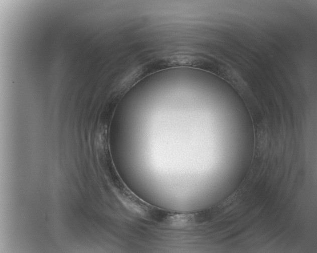 X0000080130126200612221907