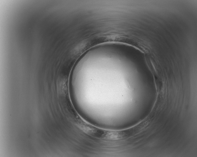 X0000080130127200612221907