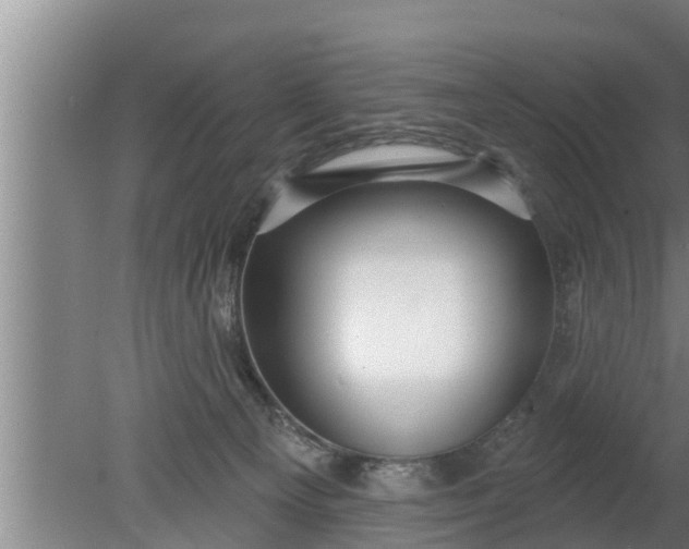 X0000080130129200612221907