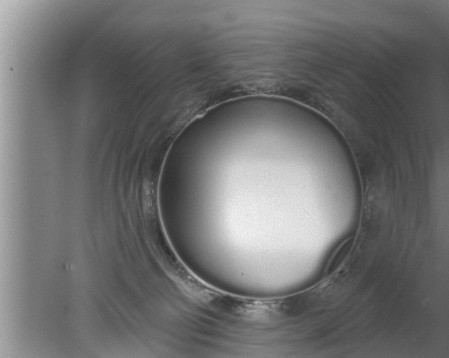 X0000080130130200612221907