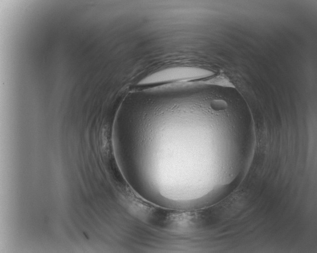 X0000080130131200612221907