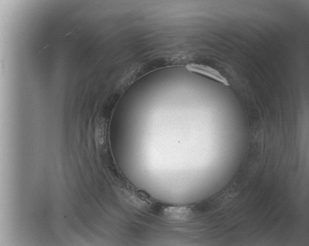 X0000080130133200612221907