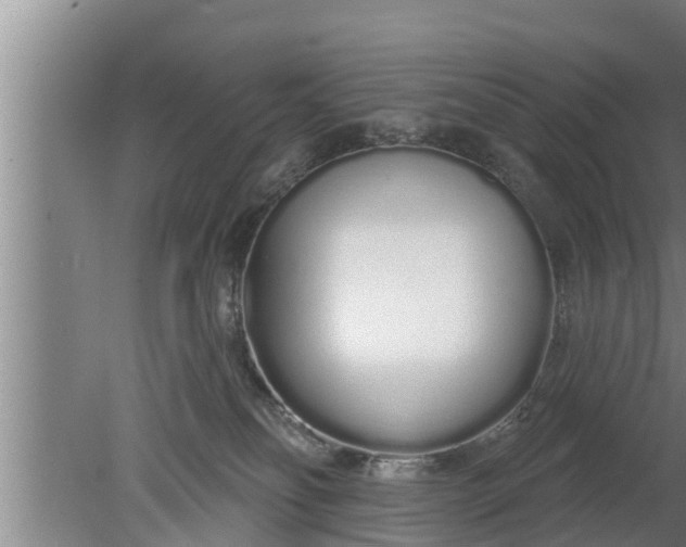 X0000080130134200612221907