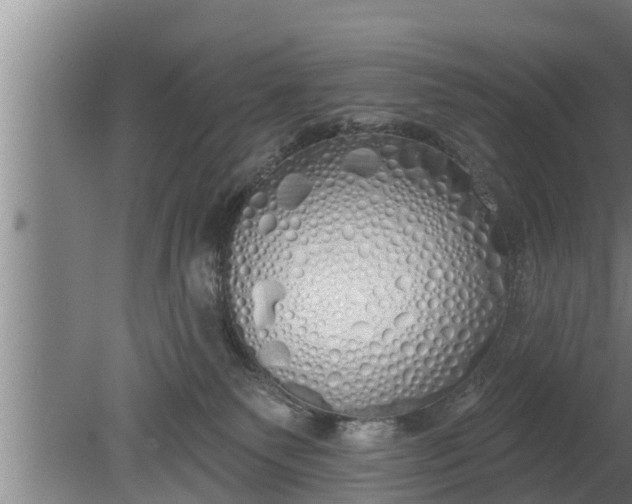 X0000080130135200612221907