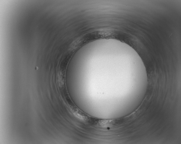 X0000080130136200612221907