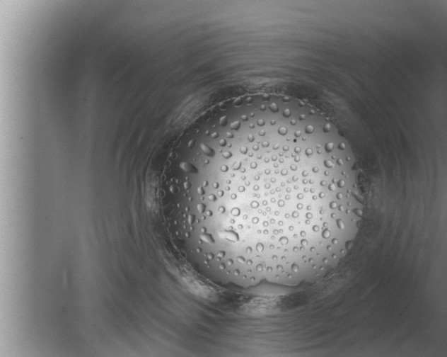 X0000080130138200612221907