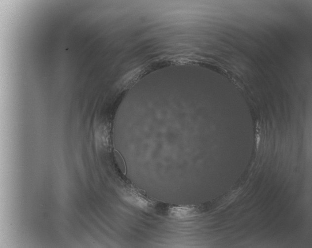 X0000080130139200612221907