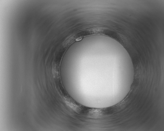 X0000080130140200612221907