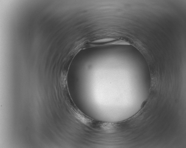 X0000080130142200612221907