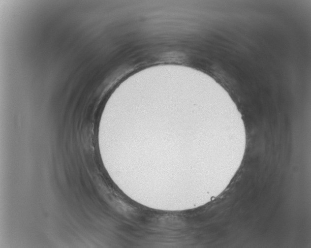 X0000080130146200612221906