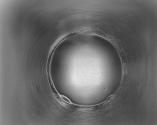 X0000080130147200612221906