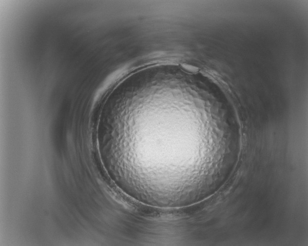 X0000080130149200612221906