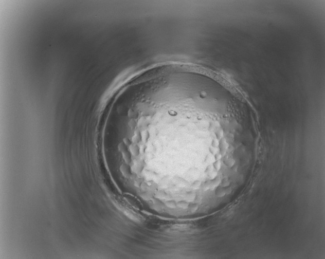 X0000080130151200612221906