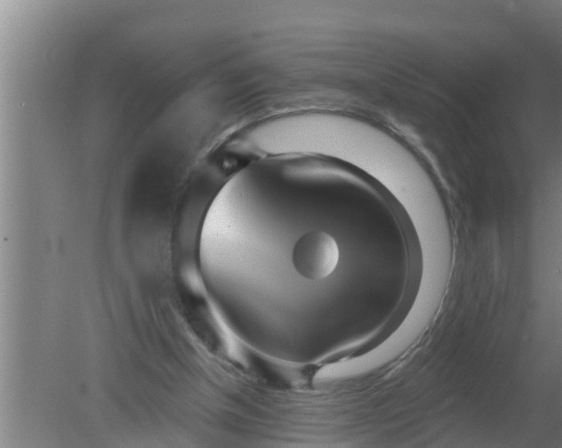 X0000080130154200612221906