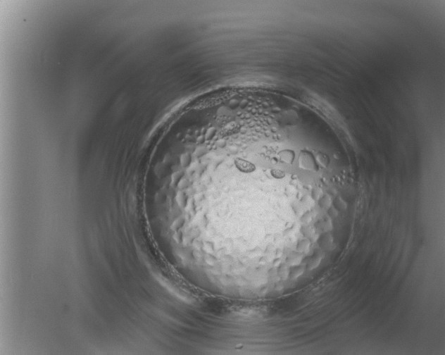 X0000080130155200612221906