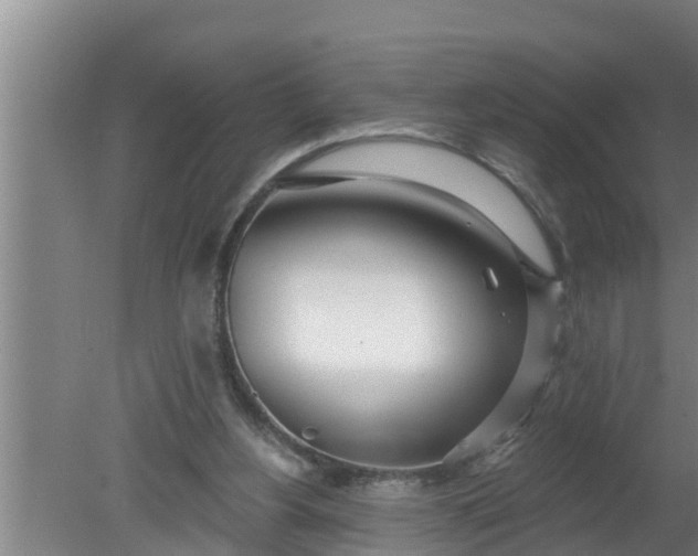 X0000080130156200612221906