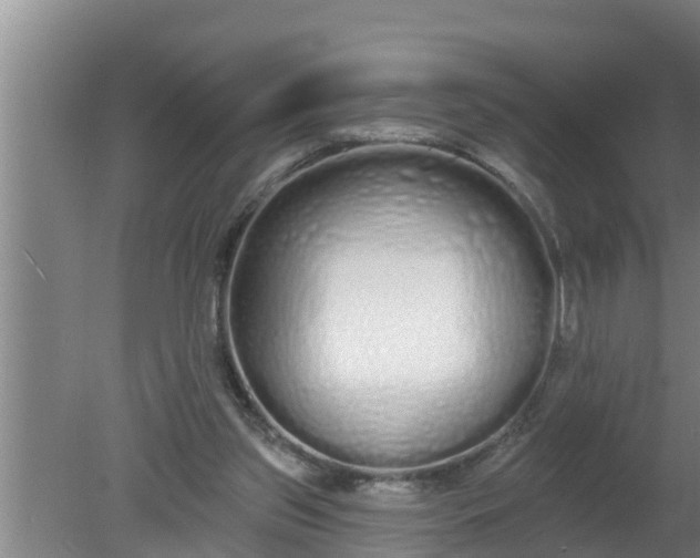 X0000080130157200612221906