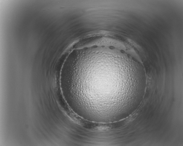 X0000080130158200612221906