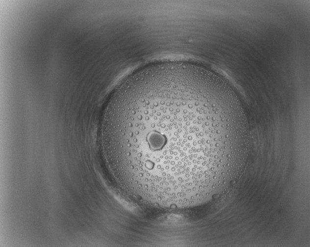 X0000080130159200612221906