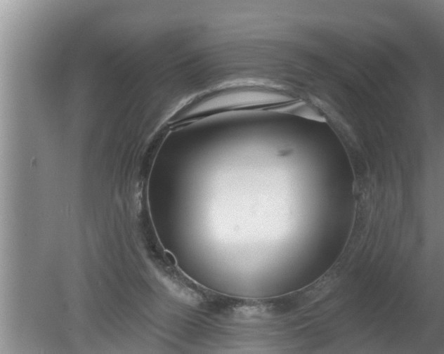 X0000080130160200612221906