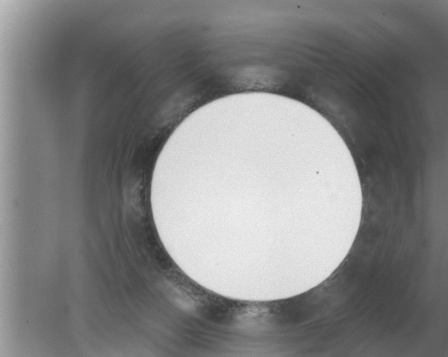 X0000080130162200612221906