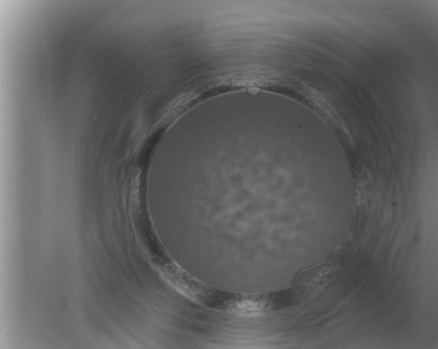 X0000080130163200612221906