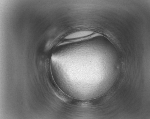 X0000080130165200612221906