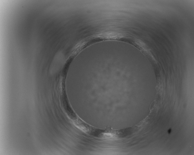 X0000080130167200612221906