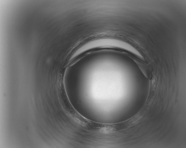 X0000080130168200612221906