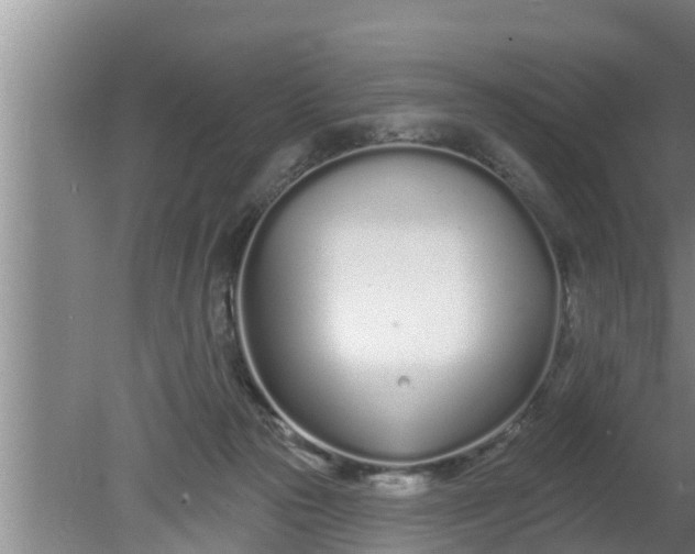 X0000080130169200612221906