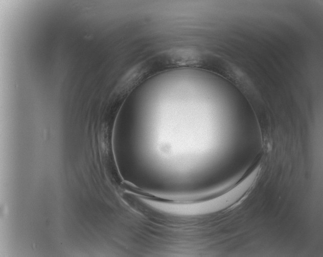 X0000080130170200612221906