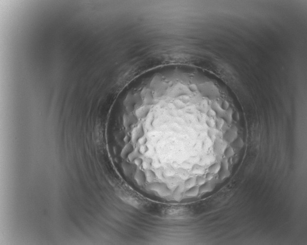 X0000080130173200612221906