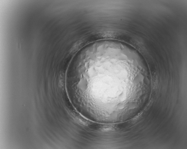 X0000080130175200612221906