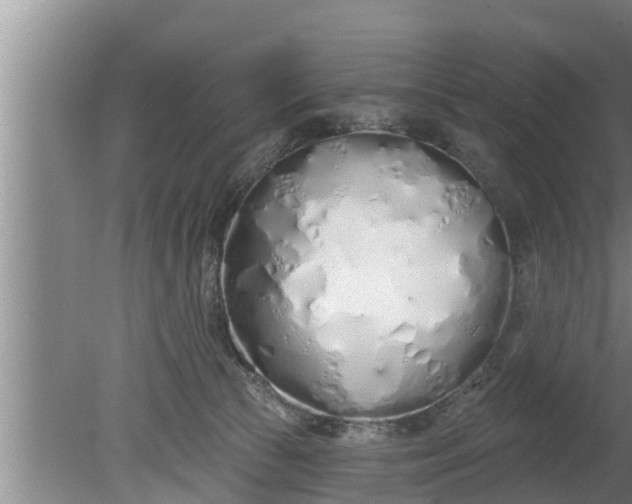 X0000080130177200612221906