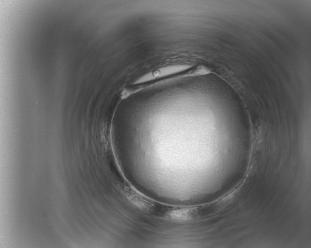 X0000080130178200612221906