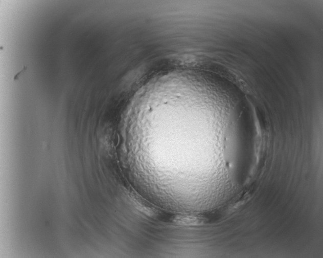 X0000080130181200612221906