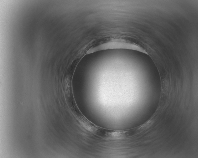 X0000080130184200612221907