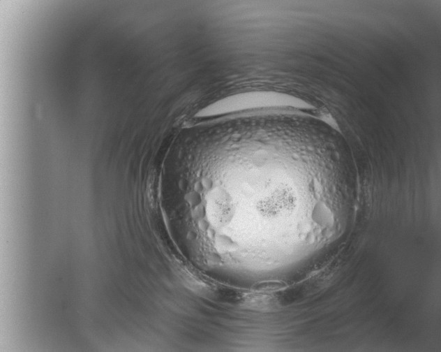 X0000080130185200612221907