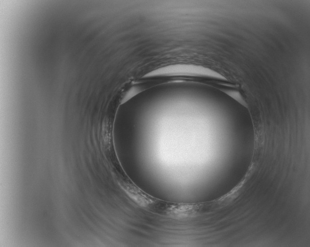 X0000080130186200612221907