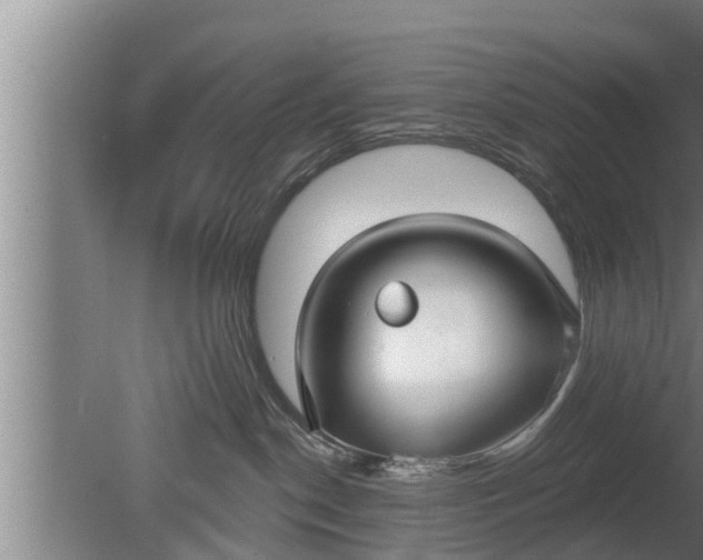 X0000080130190200612221907