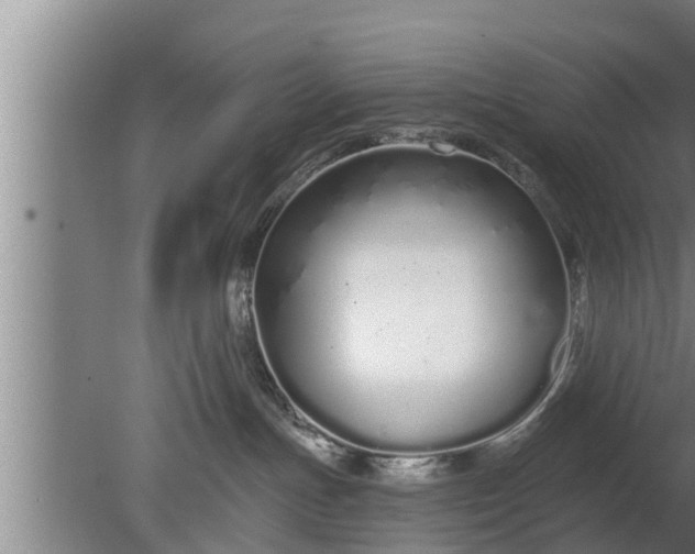 X0000080130191200612221907