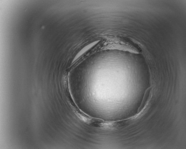 X0000080130192200612221907