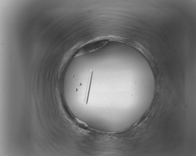 X0000080130193200612221906