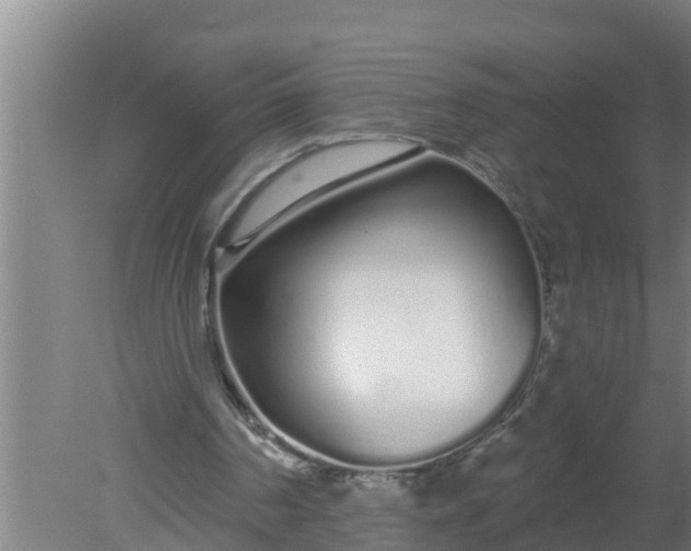 X0000080130194200612221906