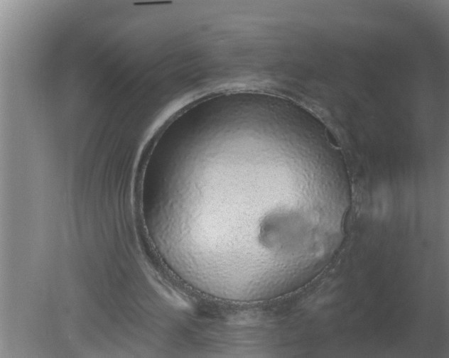 X0000080130196200612221906