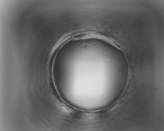 X0000080130198200612221906