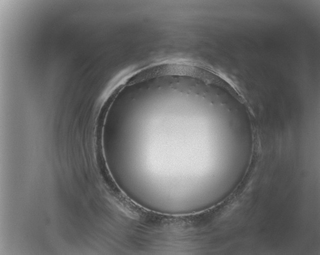 X0000080130199200612221906