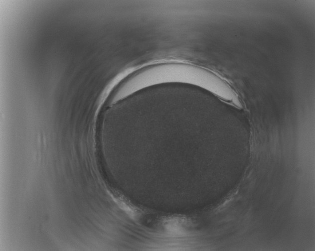 X0000080130200200612221906